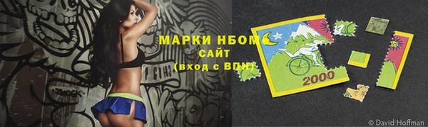 ПСИЛОЦИБИНОВЫЕ ГРИБЫ Кадников