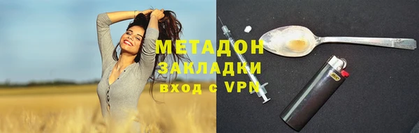 стаф Алексин