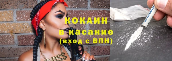 твердый Алзамай