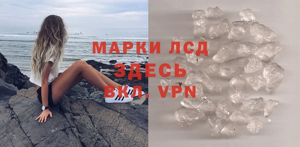 стаф Алексин