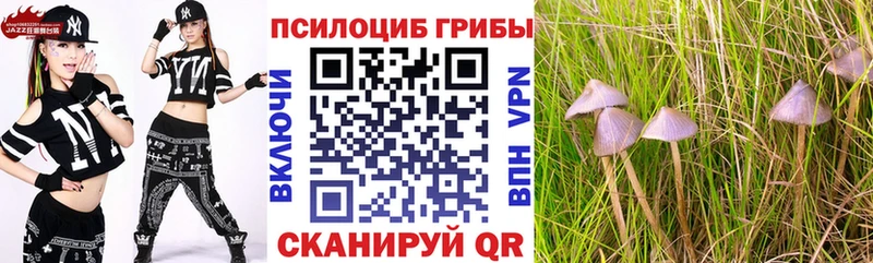 Псилоцибиновые грибы прущие грибы Краснокамск