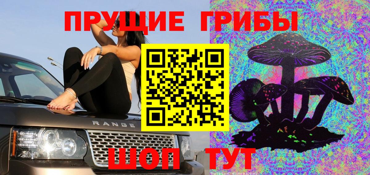 Краснокамск  Галлюциногенные грибы MAGIC MUSHROOMS  продажа наркотиков  Вход с VPN  Псилоцибиновые грибы Psilocybe 